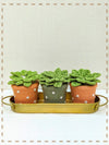 Happy Threads | Handcrafted Gift Set- The Happy Earth Collection