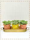 Happy threads | Handcrafted Gift Set- The Good Earth Collection