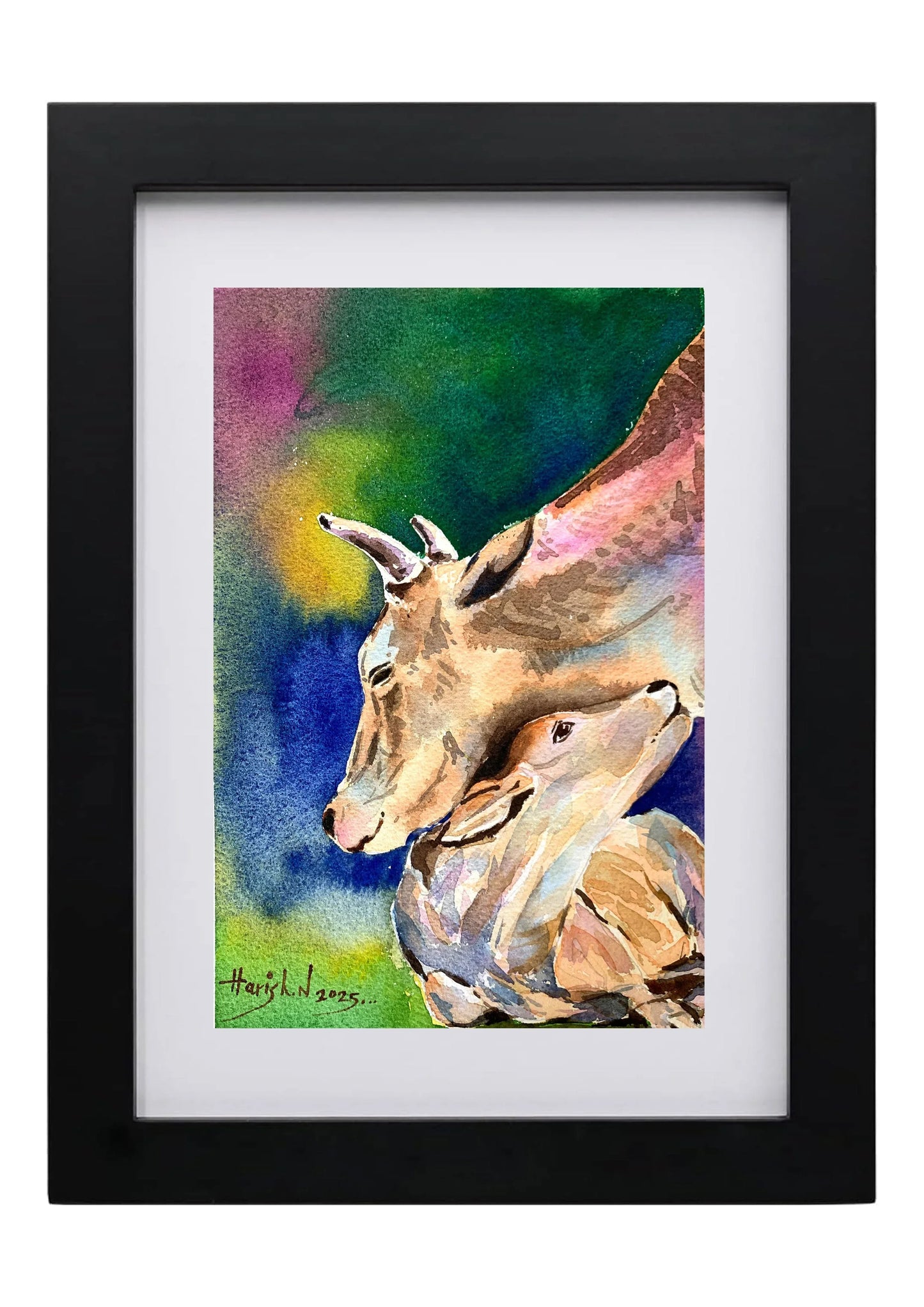Cow Watercolor Painting - Hunar Hatti