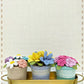 Happy Threads | Handcrafted Gift Set- The Blossom Collection