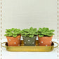 Happy Threads | Handcrafted Gift Set- The Happy Earth Collection