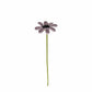 Happy Threads| Daisy Dreams, Eco-Friendly Handcrafted Single Stem Crocheted Flowers - Child-Safe, Lead-Free, Sustainable Decor & Gift Solution