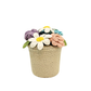 Happy Threads | Handcrafted Crochet Bloom Pot – Colorful Bouquet of Eternal Blossoms
