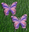 Mandala art butterfly fridge magnets
