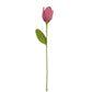 Happy Threads| Tulip Treasures (Open Tulips), Eco-Friendly Handcrafted Single Stem Crocheted Flowers, Lead-Free, Sustainable Decor & Gift Solution