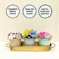 Happy Threads | Handcrafted Crochet Bloom Pot – Colorful Bouquet of Eternal Blossoms