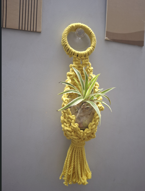 Macrame hanging-Pod/plant holder