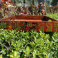 Wooden Tray Phad