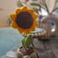 Crochet Sunflower Pod