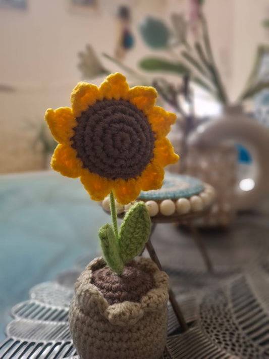 Crochet Sunflower Pod