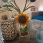 Crochet Sunflower Pod